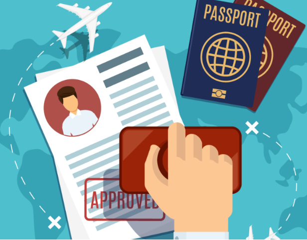 Immigration consultation and visa planning